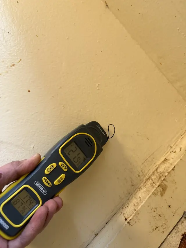 Moisture meter above the stained baseboard on the kitchen window wall